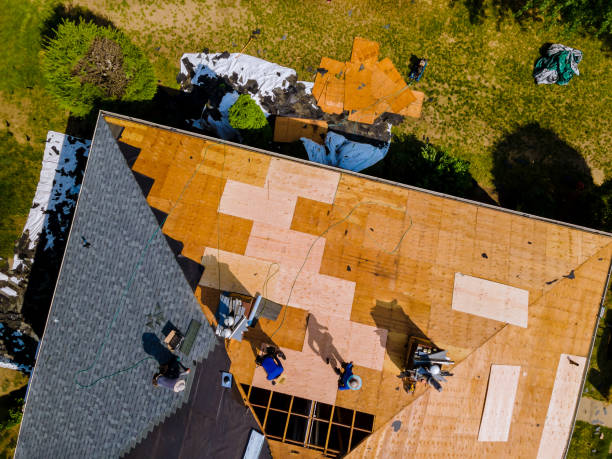 Quick and Trustworthy Emergency Roof Repair Services in South Apopka, FL